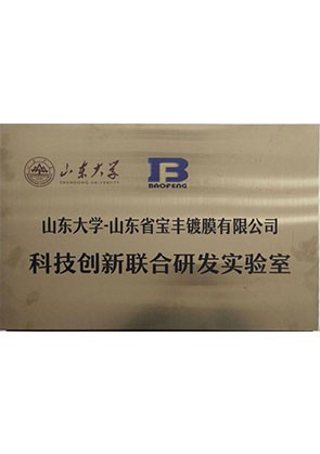 山东大学.山东省宝丰镀膜有限公司科技创新联合**实验室