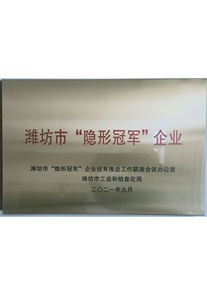 潍坊市隐形**企业