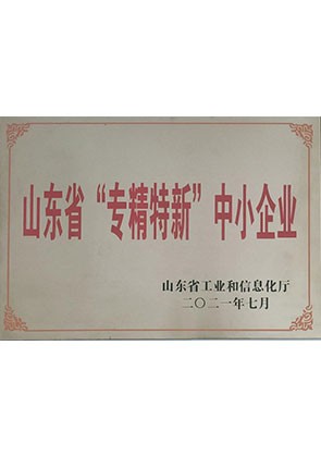 山东省专精特新企业